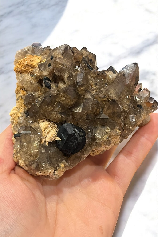 Cuarzo ahumado con turmalina negra- pieza de colección privada