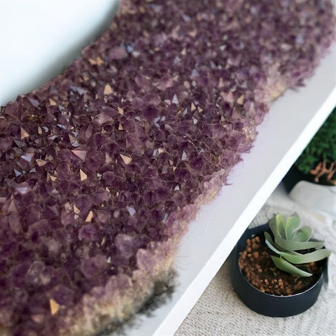 Drusa de amatista base plana gigante