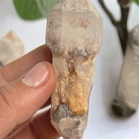 Maestro cetro de cuarzo cristal Vega Luna Dream Maestro 2 Vega Luna Dream PUNTAS