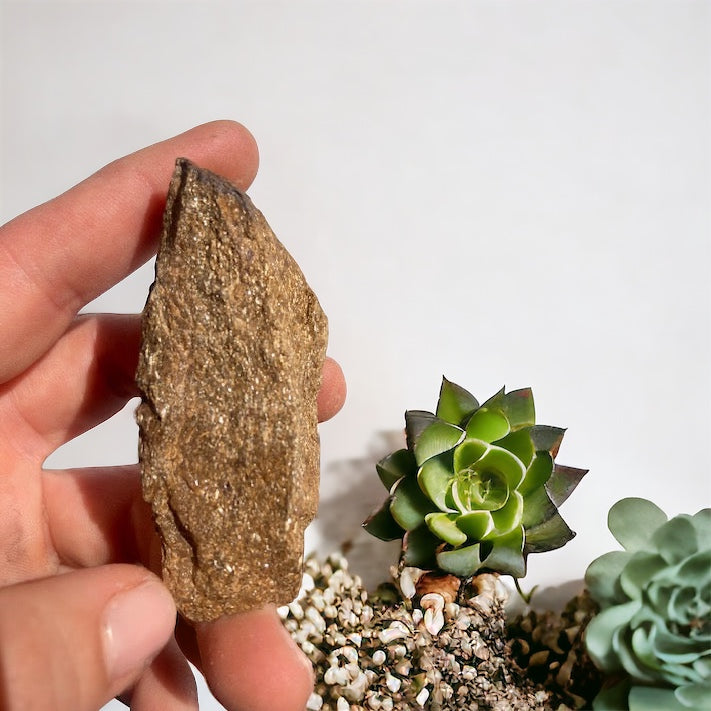 Broncita en bruto 4-8 cm Vega Luna Dream Vega Luna Dream MASIVO (EN BRUTO)