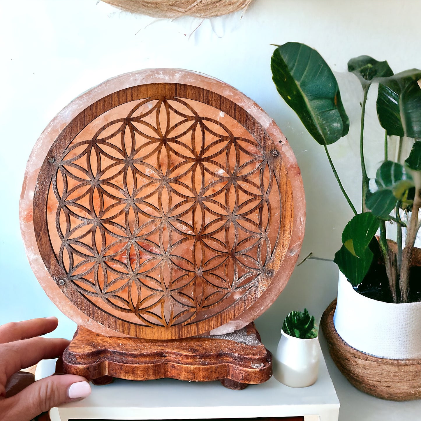 Lámpara de sal rosa de Himalaya flor de la vida