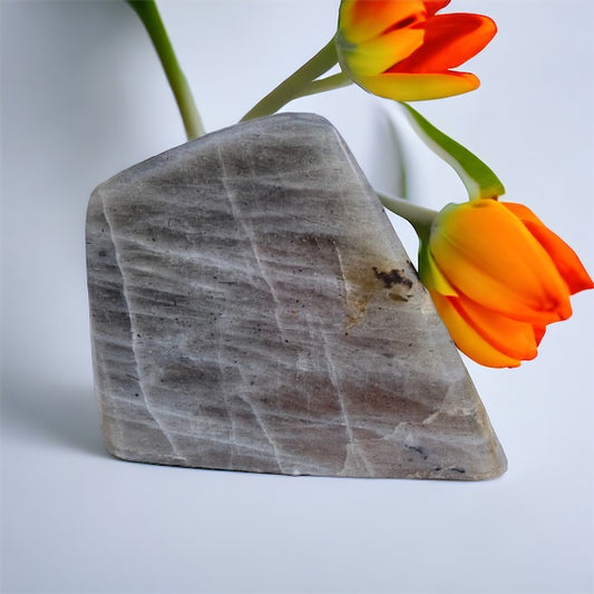 Forma pulida Labradorita 290 gr Vega Luna Dream Vega Luna Dream FORMAS PULIDAS