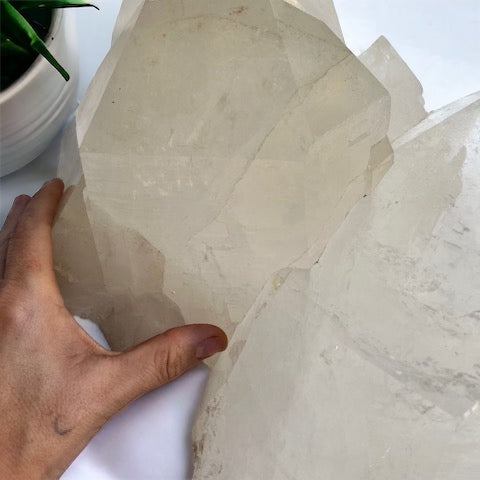 Drusa de cuarzo cristal Pequeño guardián de la tierra 16k