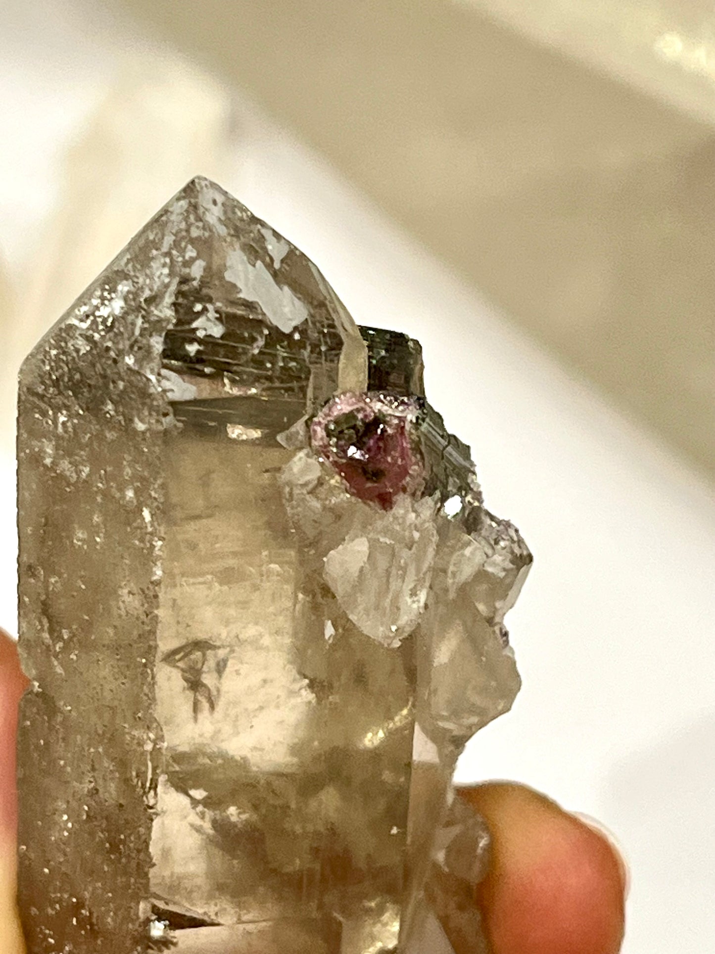 Turmalina sandia sobre punta de cuarzo ahumado con maestrías puente e interferencia T5 colección privada