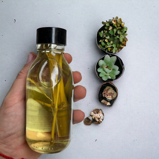 Aceite de Bambú (Protección) Vega Luna Dream Vega Luna Dream ACEITES RITUALES