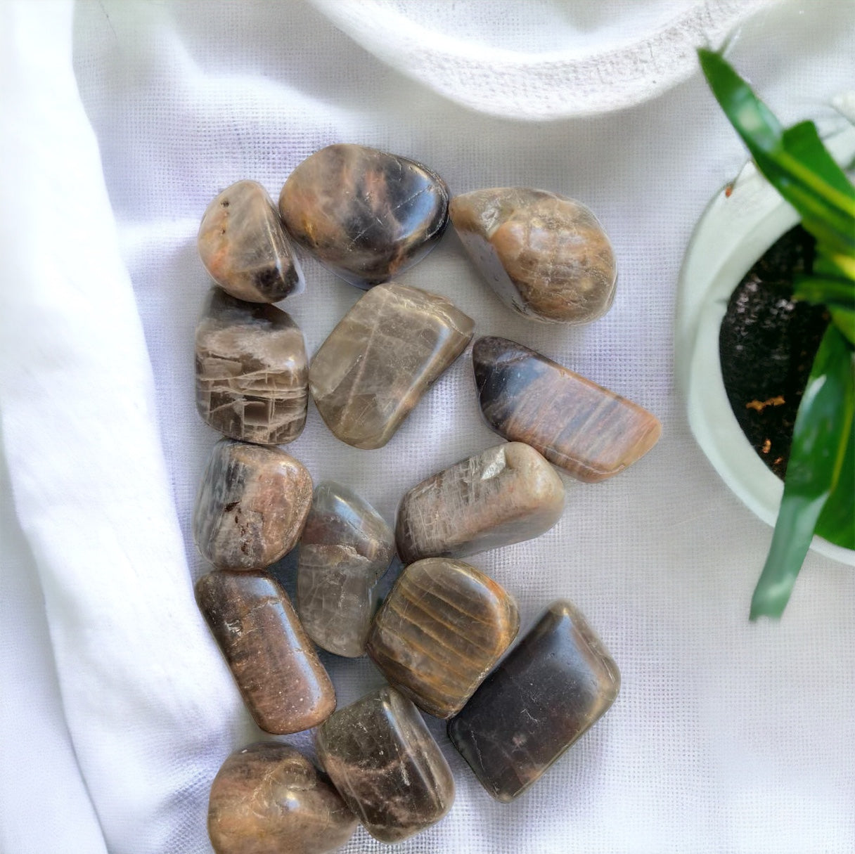 Rodado de piedra luna adularía negra