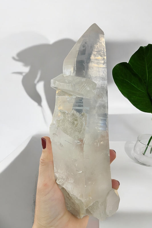 Punta de Cuarzo Lemuriano Calidad A Gigante con maestrias