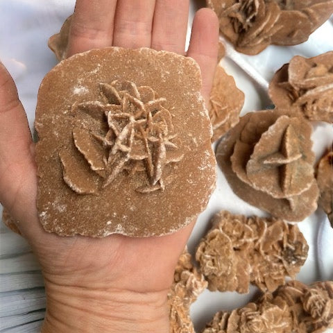 Rosa del desierto Marroquí