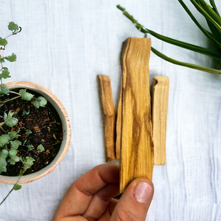 Palo santo (bursera graveolens)