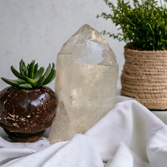 Guardián de la tierra 8k