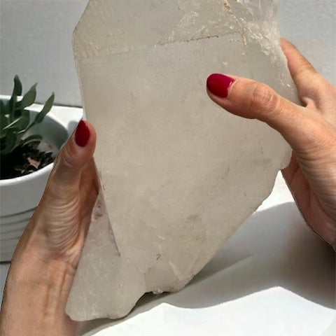 Guardián de la tierra 8k