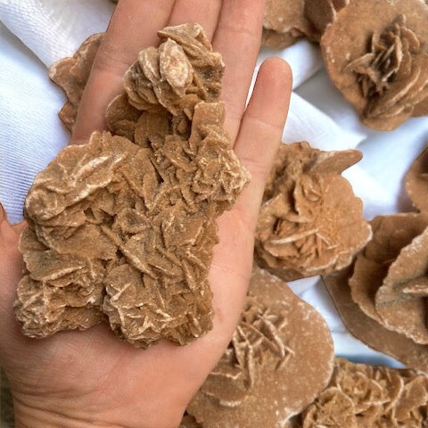 Rosa del desierto Marroquí