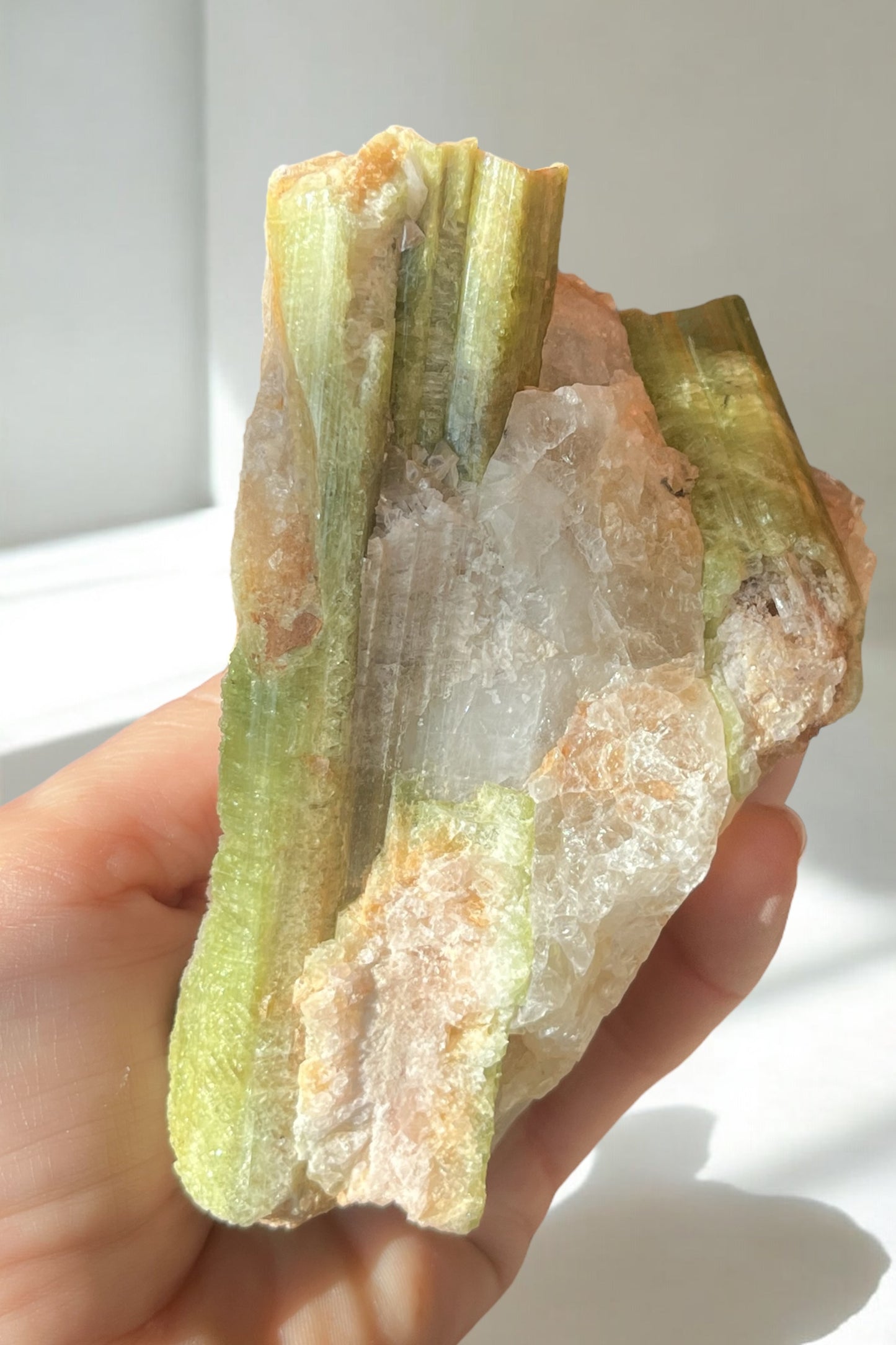 Turmalina sandia en matriz de cuarzo pieza de colección