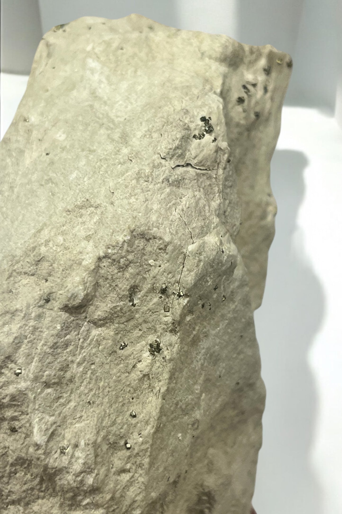 Pirita cúbica de colección en matriz