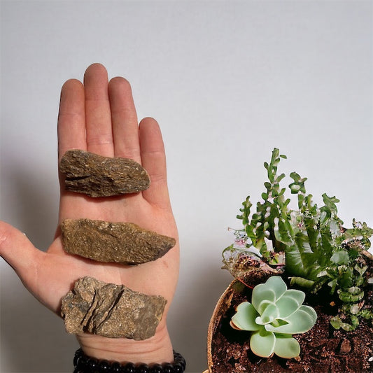 Broncita en bruto 4-8 cm Vega Luna Dream Vega Luna Dream MASIVO (EN BRUTO)