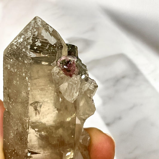 Turmalina sandia sobre punta de cuarzo ahumado con maestrías puente e interferencia T5 colección privada