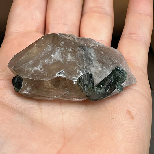 Turmalina verde con matriz de punta de cuarzo ahumado T10 colección privada