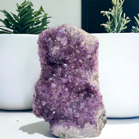 Drusa de amatista con base