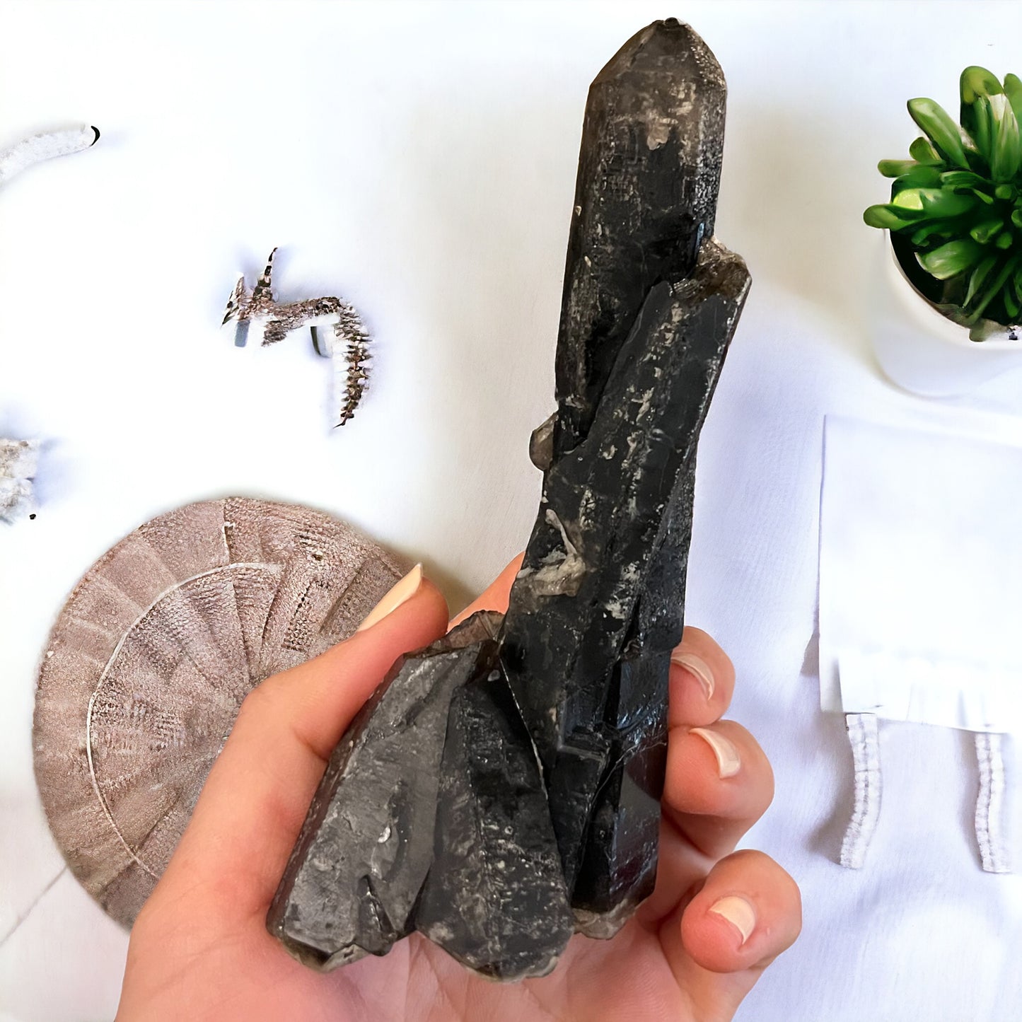 Punta lemuriana de cuarzo morión con drusa