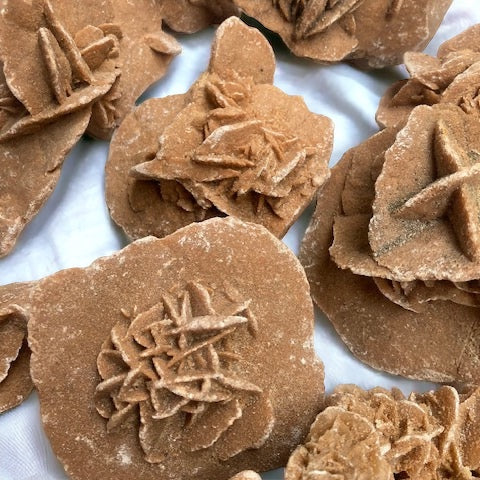 Rosa del desierto Marroquí