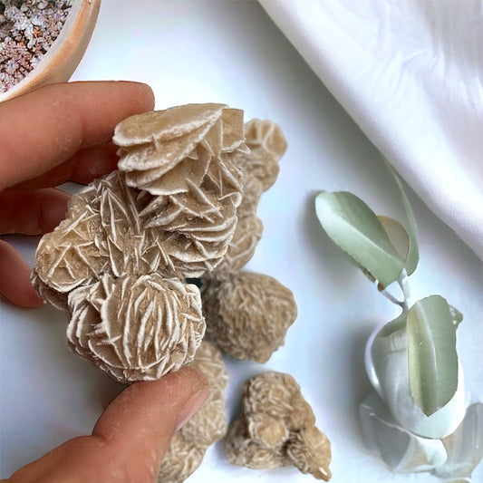 Rosa del desierto Mexicana