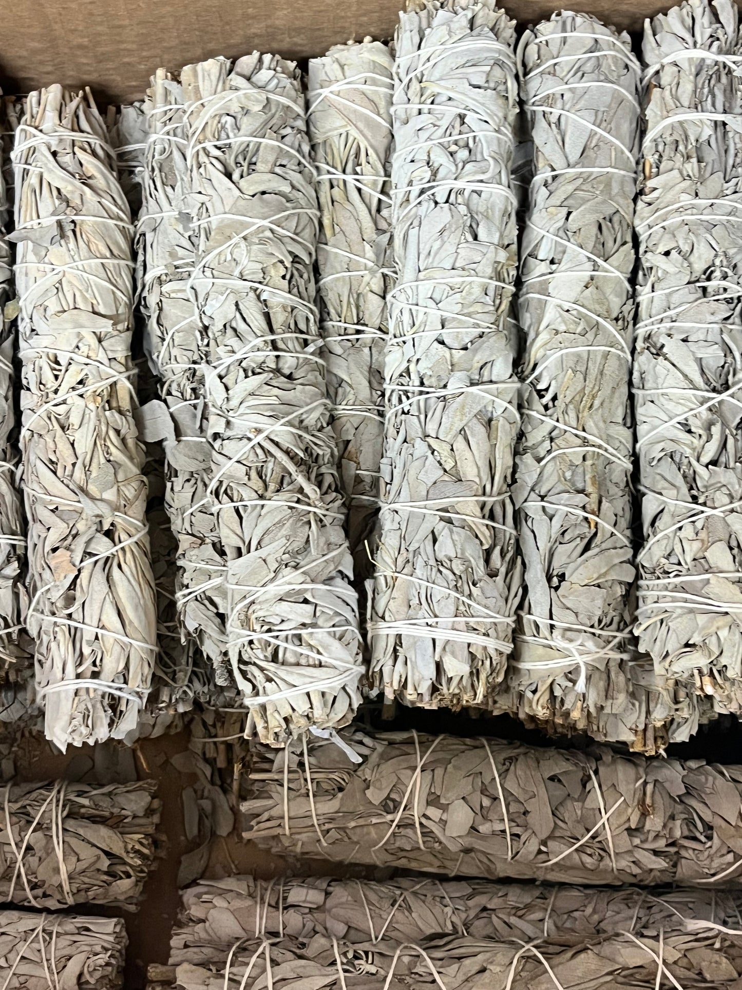 Sahumerio salvia blanca 21cm