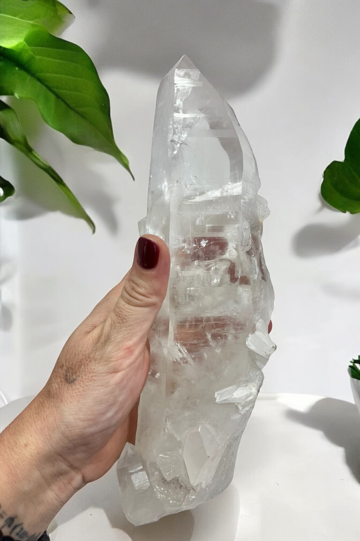 Punta de Cuarzo Lemuriano Calidad A Gigante con maestrias