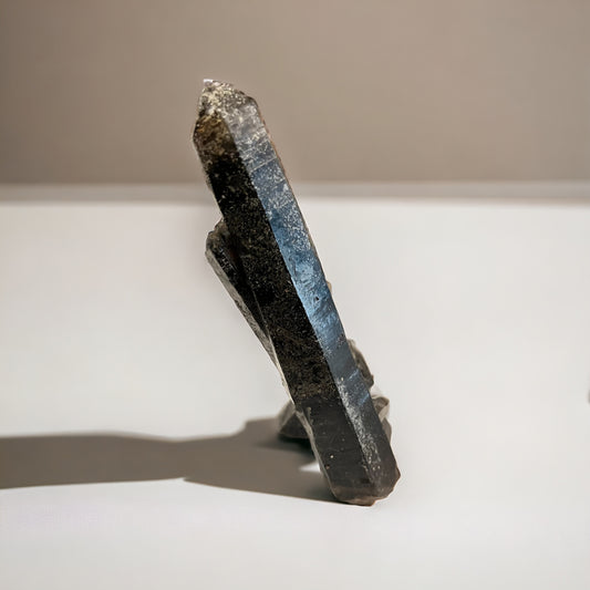 Punta lemuriana de cuarzo morión con drusa