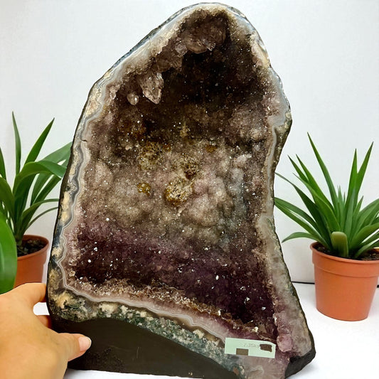 Geoda de ágata y amatista tricolor con cacoxenita