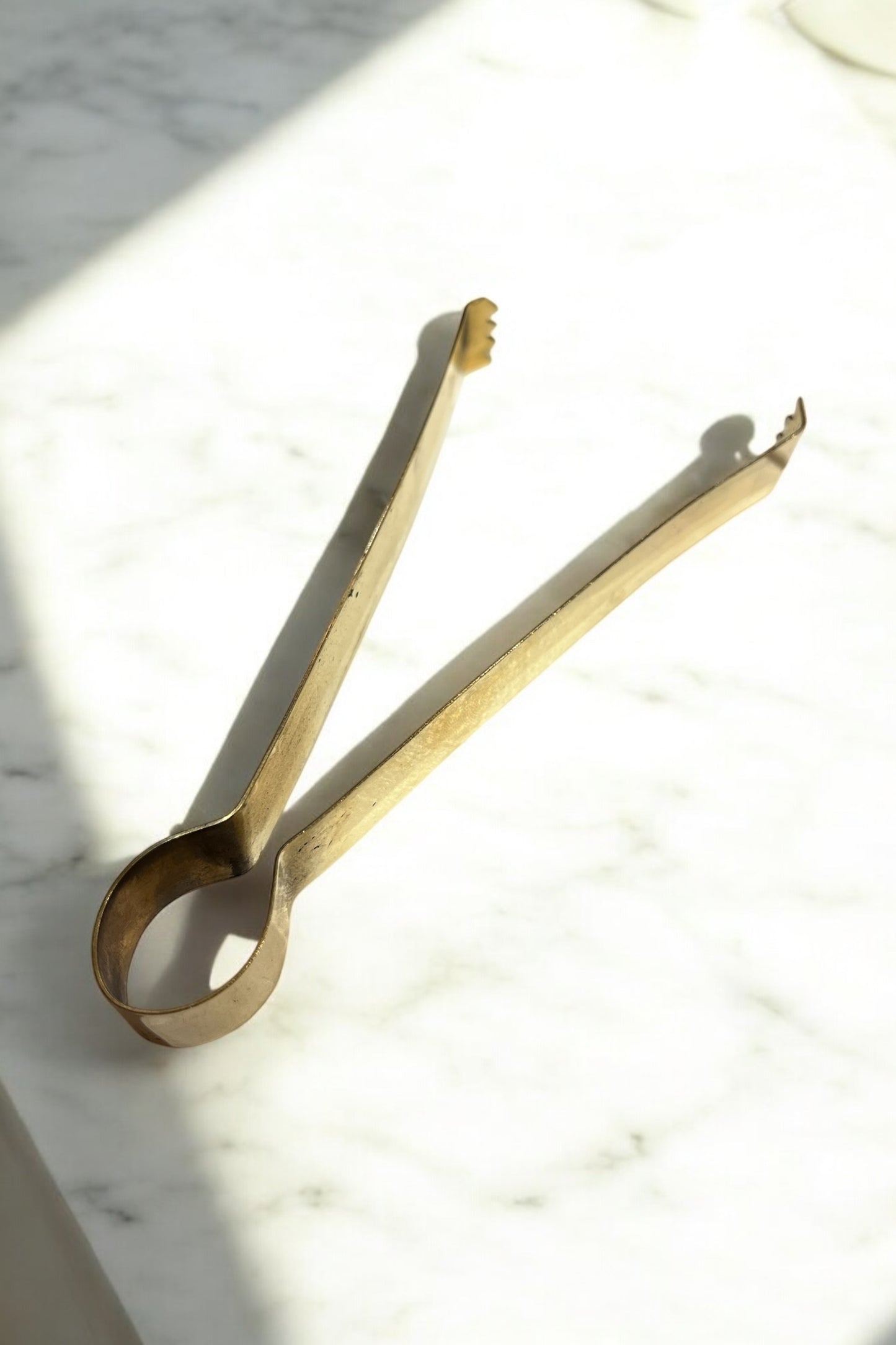 Pinzas para carboncillo