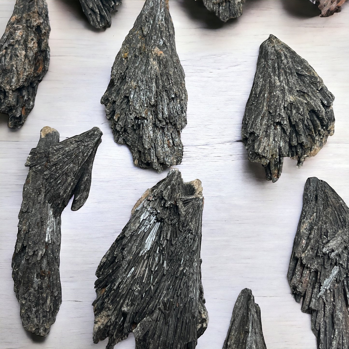 Cianita negra (escoba de bruja) 4-7 cm Vega Luna Dream Vega Luna Dream MASIVO (EN BRUTO)