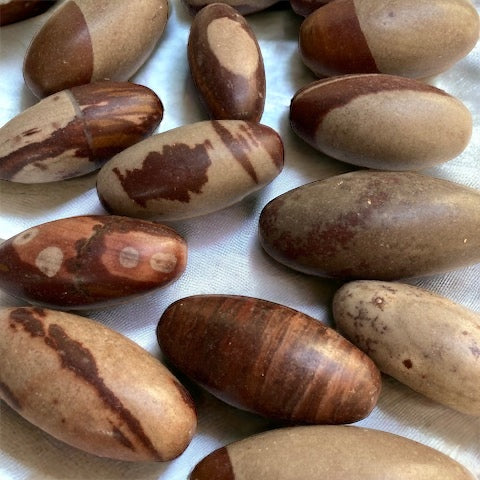 Shiva Lingam grande 8-10 cm