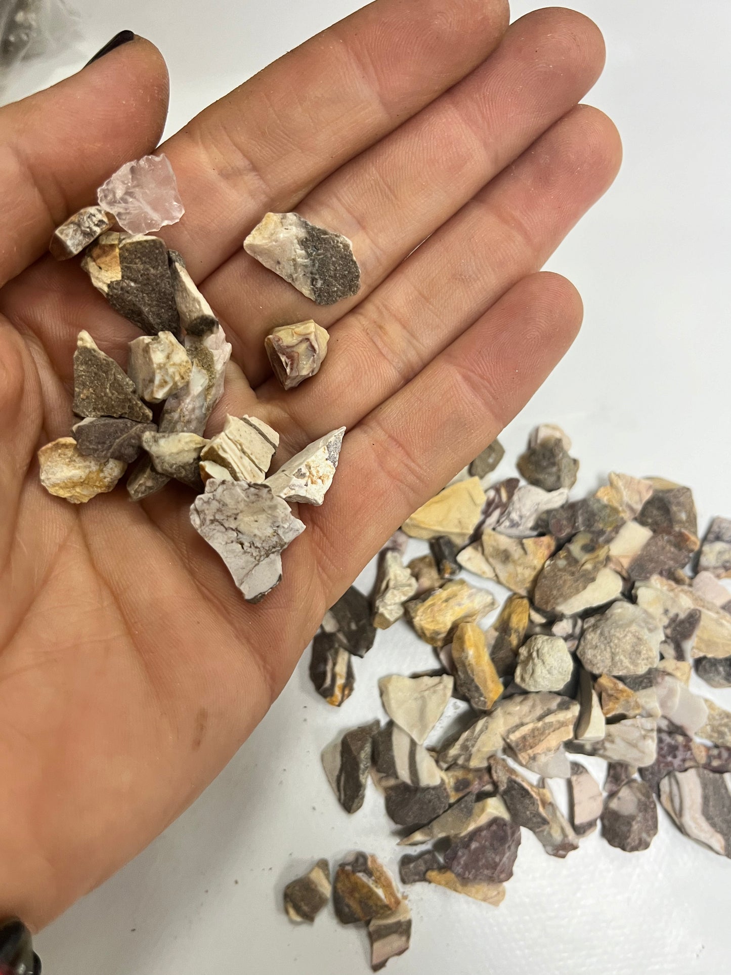 Chips minerales 250 GR Vega Luna Dream Vega Luna Dream