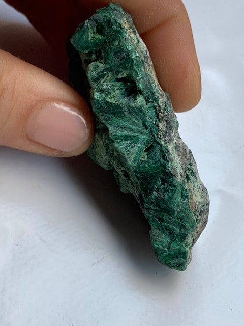 Malaquita fibrosa en Bruto
