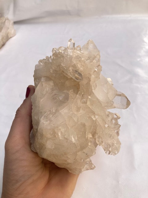 Drusa de Cuarzo cristal 850 gr Vega Luna Dream Vega Luna Dream DRUSA DE CUARZO