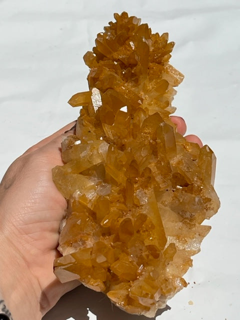 Drusa de Cuarzo albaricoque Vega Luna Dream Vega Luna Dream DRUSA DE CUARZO