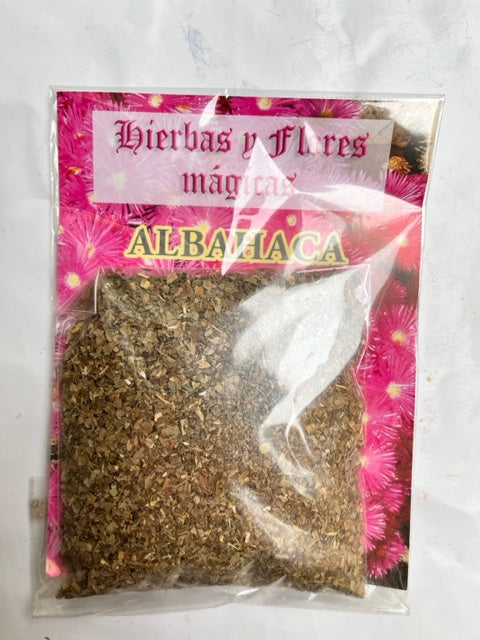 Albahaca atrae dinero y evita discusiones Vega Luna Dream Vega Luna Dream HIERBAS ESOTERICAS