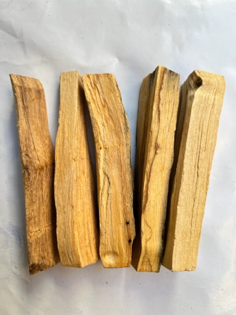 Palo santo (bursera graveolens)