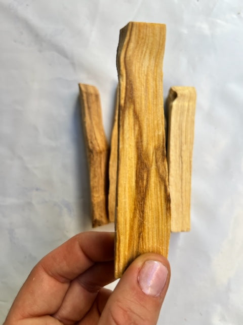 Palo santo (bursera graveolens)