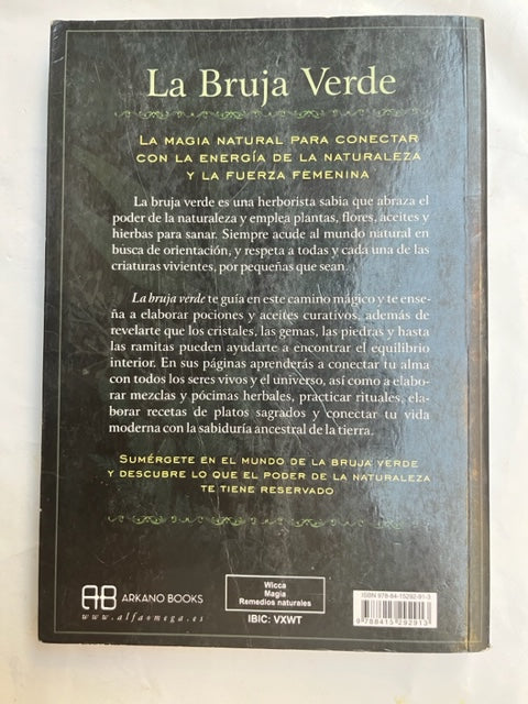 Libro "La bruja verde" Vega Luna Dream Vega Luna Dream Libros