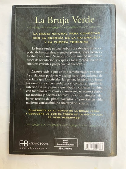 Libro "La bruja verde" Vega Luna Dream Vega Luna Dream Libros