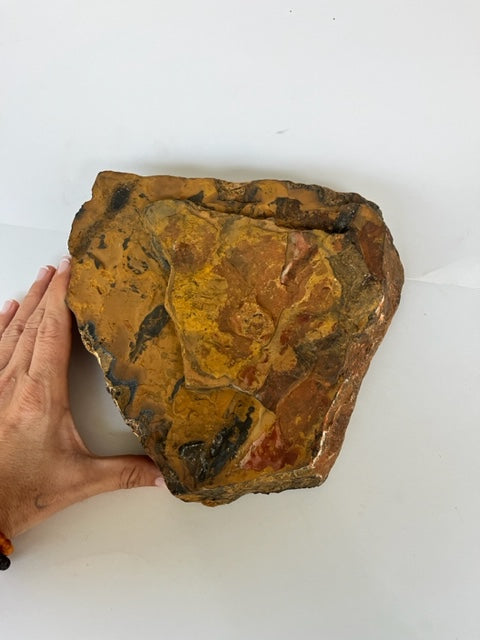 Ojo de tigre en bruto, piezas gigantes
