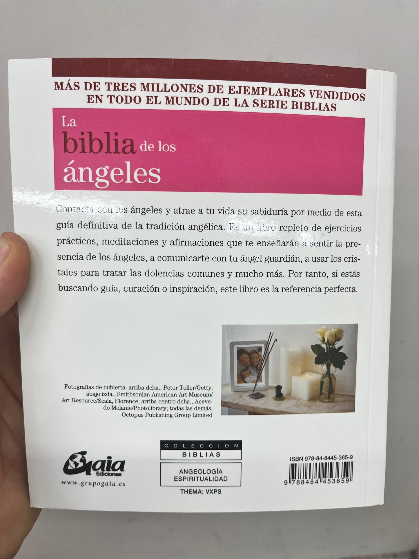Libro “la biblia de Los Ángeles” Vega Luna Dream Vega Luna Dream Libros