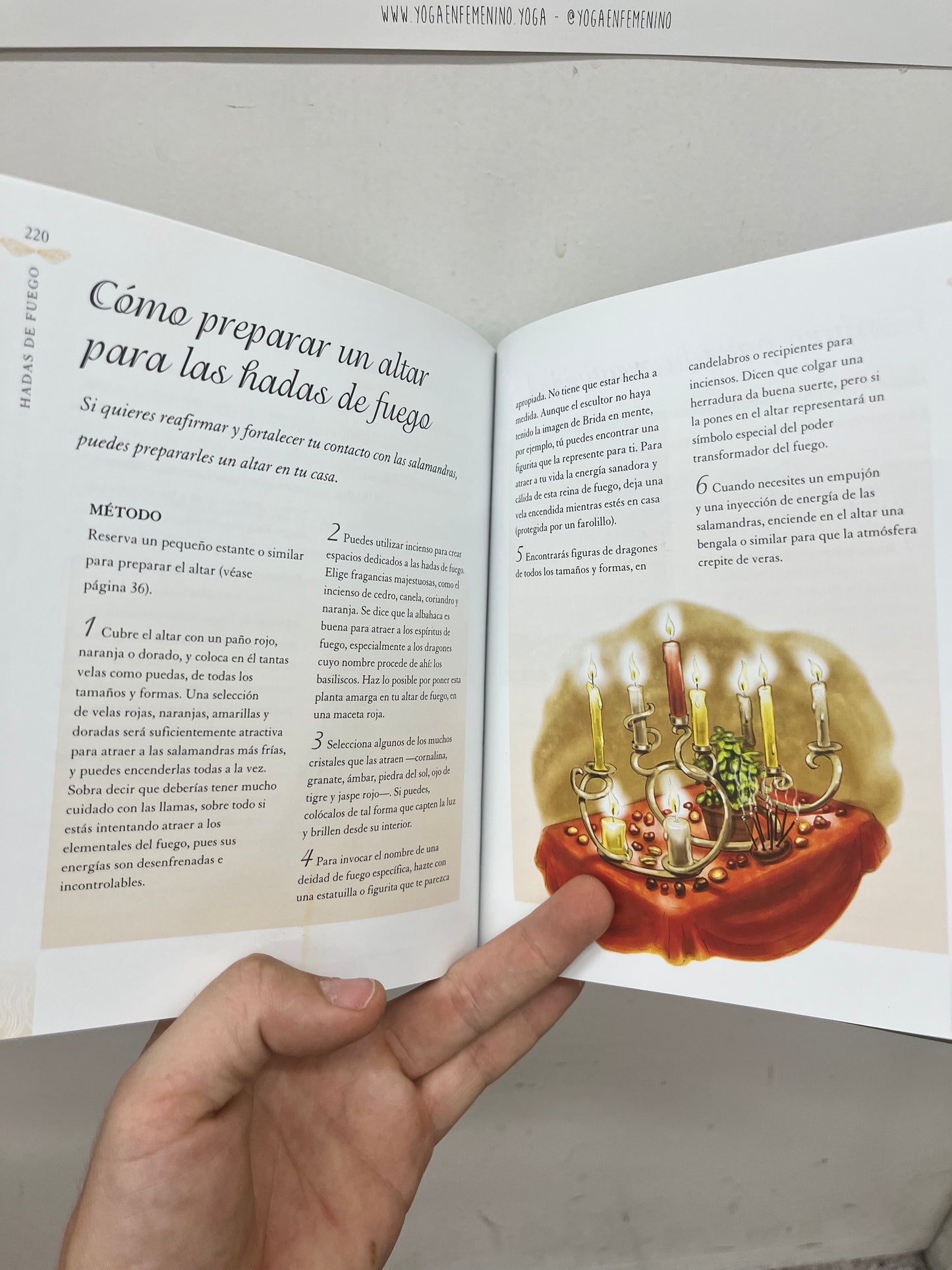 Libro “la biblia de las Hadas”