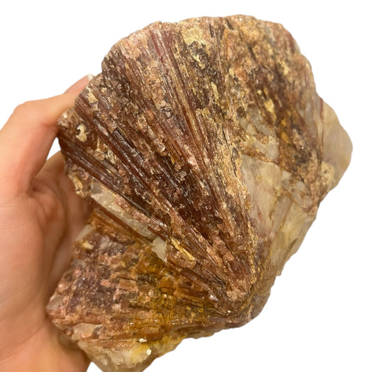 Turmalina rosa en Matriz de cuarzo colección privada