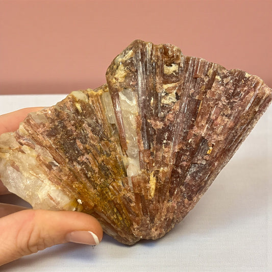 Turmalina rosa en Matriz de cuarzo colección privada