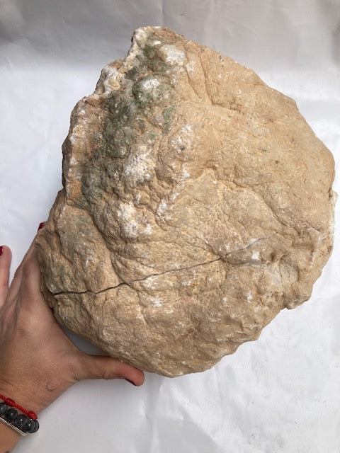 Geoda de Cuarzo gigante 7 kilos